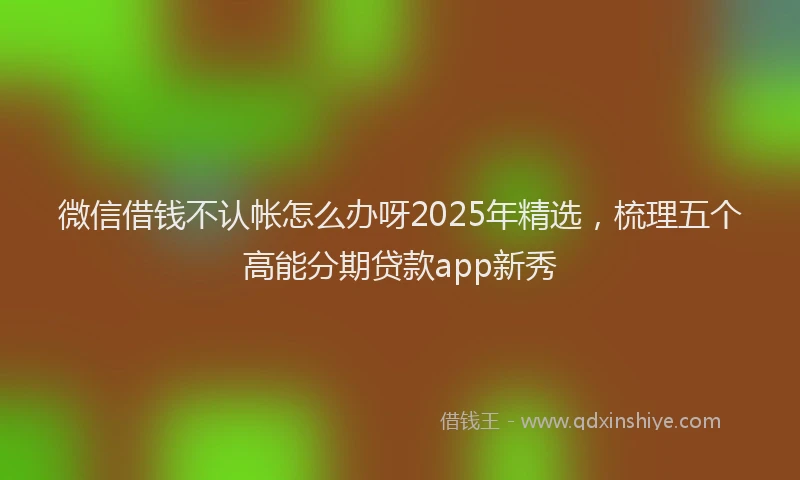 微信借钱不认帐怎么办呀2025年精选，梳理五个高能分期贷款app新秀