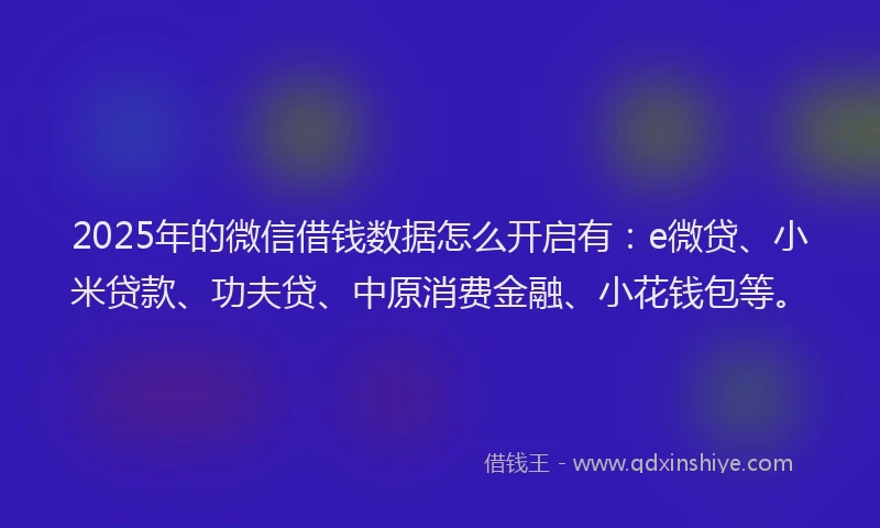 2025年的微信借钱数据怎么开启有：e微贷、小米贷款、功夫贷、中原消费金融、小花钱包等。