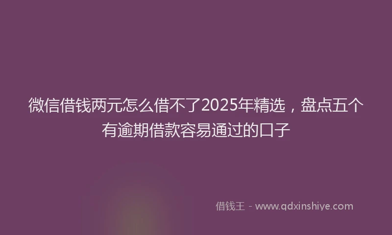 微信借钱两元怎么借不了2025年精选，盘点五个有逾期借款容易通过的口子
