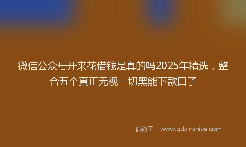 微信公众号开来花借钱是真的吗2025年精选，整合五个真正无视一切黑能下款口子