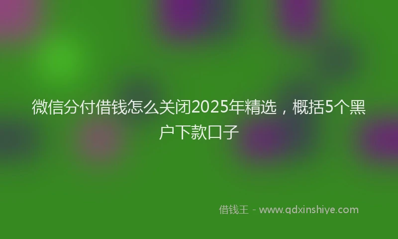 微信分付借钱怎么关闭2025年精选，概括5个黑户下款口子