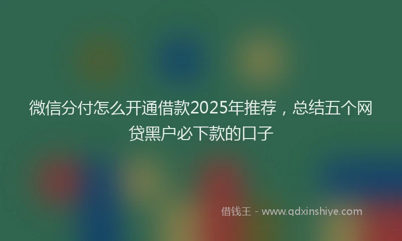 微信分付怎么开通借款2025年推荐，总结五个网贷黑户必下款的口子