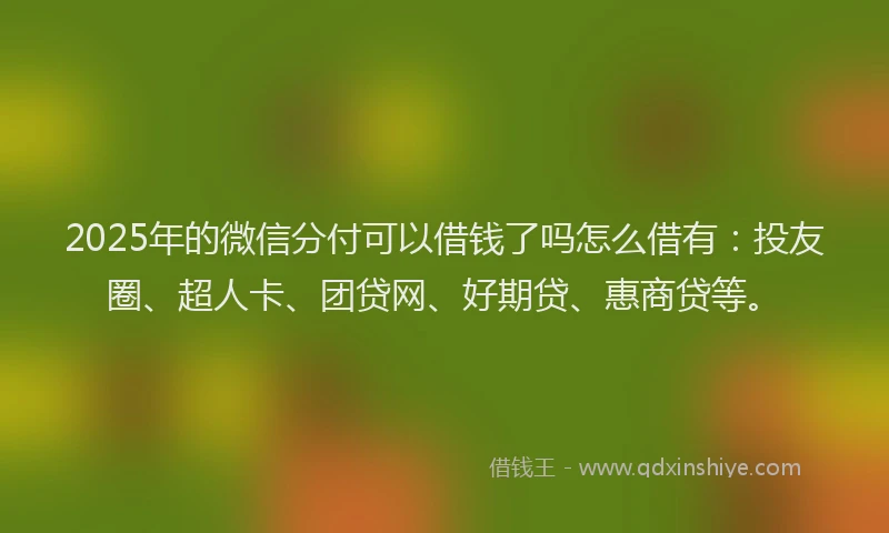 2025年的微信分付可以借钱了吗怎么借有：投友圈、超人卡、团贷网、好期贷、惠商贷等。