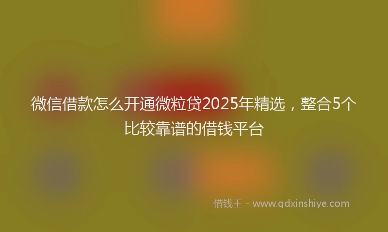 微信借款怎么开通微粒贷2025年精选，整合5个比较靠谱的借钱平台