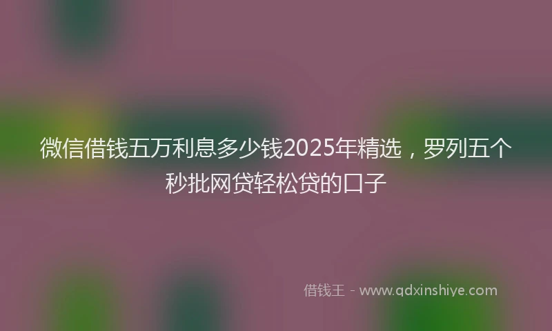 微信借钱五万利息多少钱2025年精选，罗列五个秒批网贷轻松贷的口子