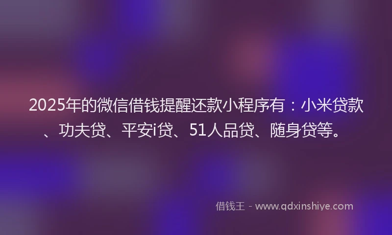 2025年的微信借钱提醒还款小程序有：小米贷款、功夫贷、平安i贷、51人品贷、随身贷等。