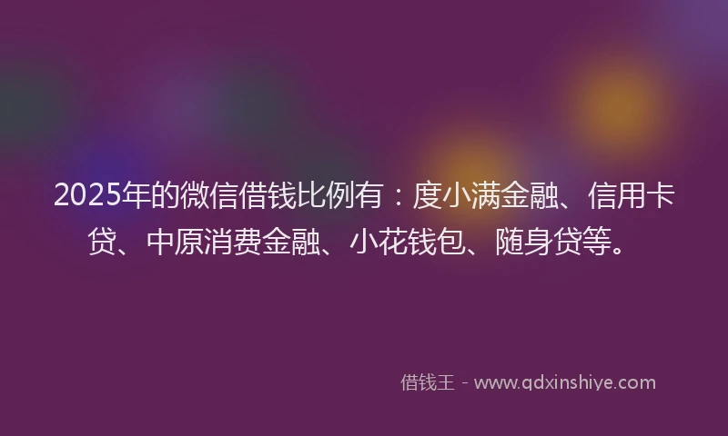 2025年的微信借钱比例有：度小满金融、信用卡贷、中原消费金融、小花钱包、随身贷等。