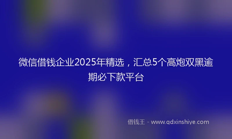 微信借钱企业2025年精选，汇总5个高炮双黑逾期必下款平台