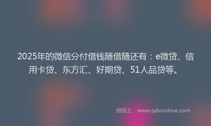 2025年的微信分付借钱随借随还有：e微贷、信用卡贷、东方汇、好期贷、51人品贷等。