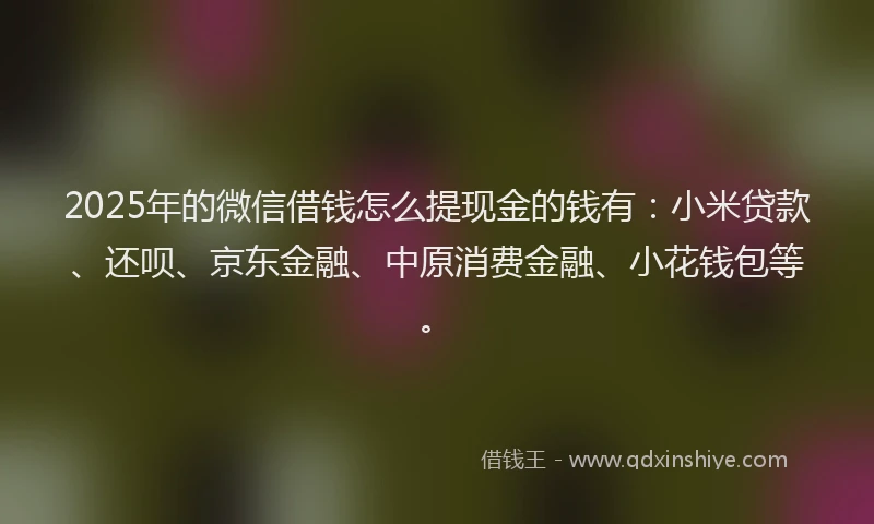 2025年的微信借钱怎么提现金的钱有：小米贷款、还呗、京东金融、中原消费金融、小花钱包等。