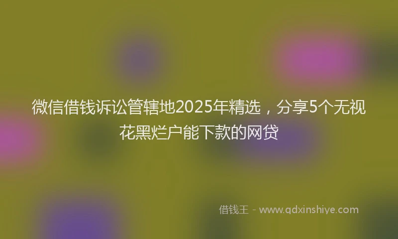 微信借钱诉讼管辖地2025年精选，分享5个无视花黑烂户能下款的网贷