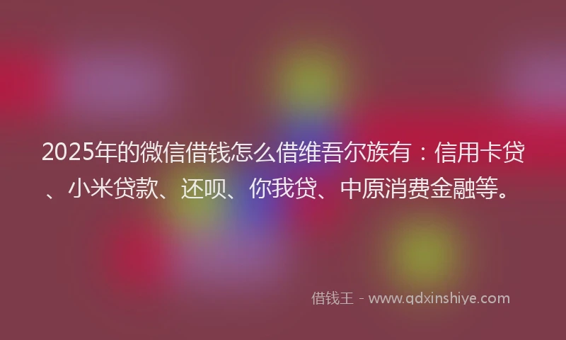 2025年的微信借钱怎么借维吾尔族有：信用卡贷、小米贷款、还呗、你我贷、中原消费金融等。