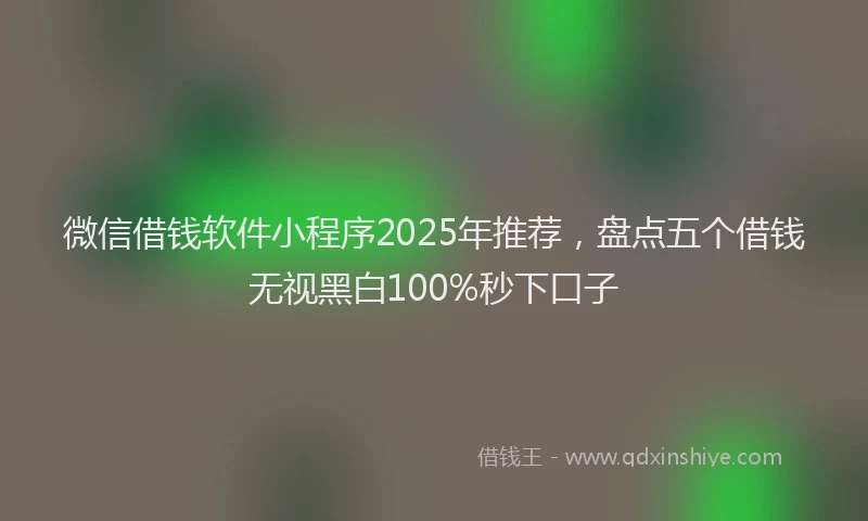 微信借钱软件小程序2025年推荐，盘点五个借钱无视黑白100%秒下口子