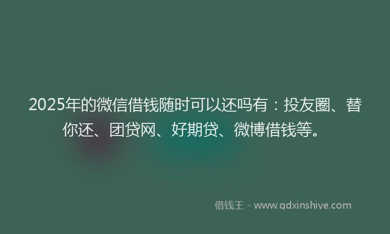 2025年的微信借钱随时可以还吗有：投友圈、替你还、团贷网、好期贷、微博借钱等。