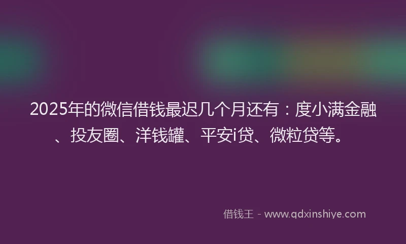 2025年的微信借钱最迟几个月还有：度小满金融、投友圈、洋钱罐、平安i贷、微粒贷等。