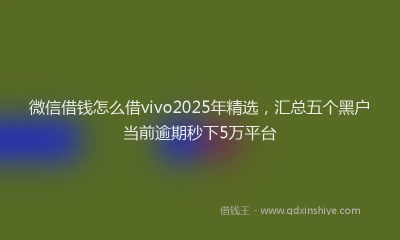 微信借钱怎么借vivo2025年精选，汇总五个黑户当前逾期秒下5万平台