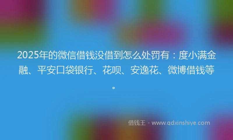 2025年的微信借钱没借到怎么处罚有：度小满金融、平安口袋银行、花呗、安逸花、微博借钱等。