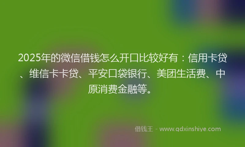 2025年的微信借钱怎么开口比较好有：信用卡贷、维信卡卡贷、平安口袋银行、美团生活费、中原消费金融等。