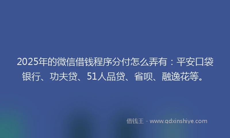 2025年的微信借钱程序分付怎么弄有：平安口袋银行、功夫贷、51人品贷、省呗、融逸花等。
