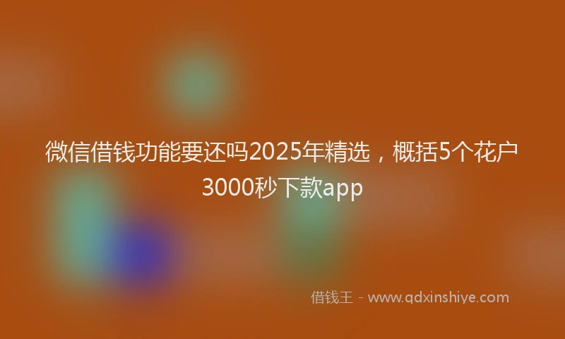 微信借钱功能要还吗2025年精选，概括5个花户3000秒下款app