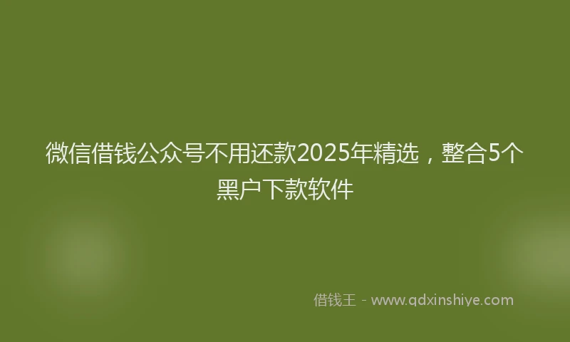 微信借钱公众号不用还款2025年精选，整合5个黑户下款软件