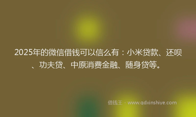 2025年的微信借钱可以信么有：小米贷款、还呗、功夫贷、中原消费金融、随身贷等。
