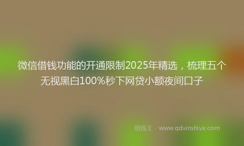 微信借钱功能的开通限制2025年精选，梳理五个无视黑白100%秒下网贷小额夜间口子