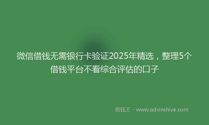 微信借钱无需银行卡验证2025年精选，整理5个借钱平台不看综合评估的口子