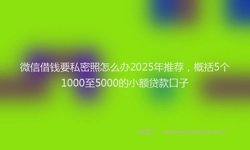 微信借钱要私密照怎么办2025年推荐，概括5个1000至5000的小额贷款口子