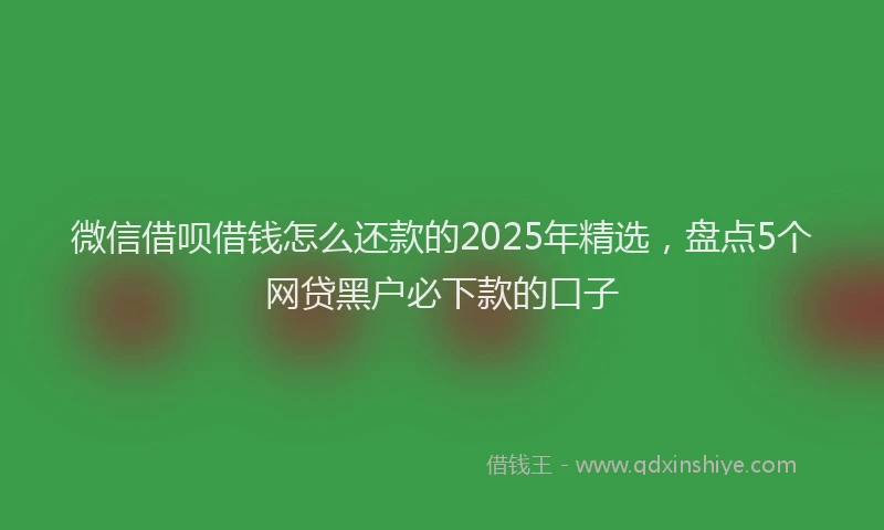 微信借呗借钱怎么还款的2025年精选，盘点5个网贷黑户必下款的口子