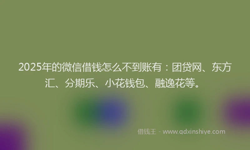 2025年的微信借钱怎么不到账有：团贷网、东方汇、分期乐、小花钱包、融逸花等。