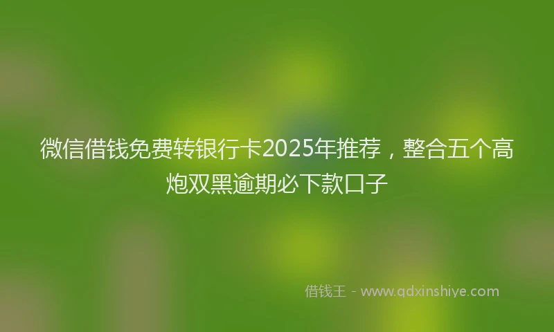 微信借钱免费转银行卡2025年推荐，整合五个高炮双黑逾期必下款口子