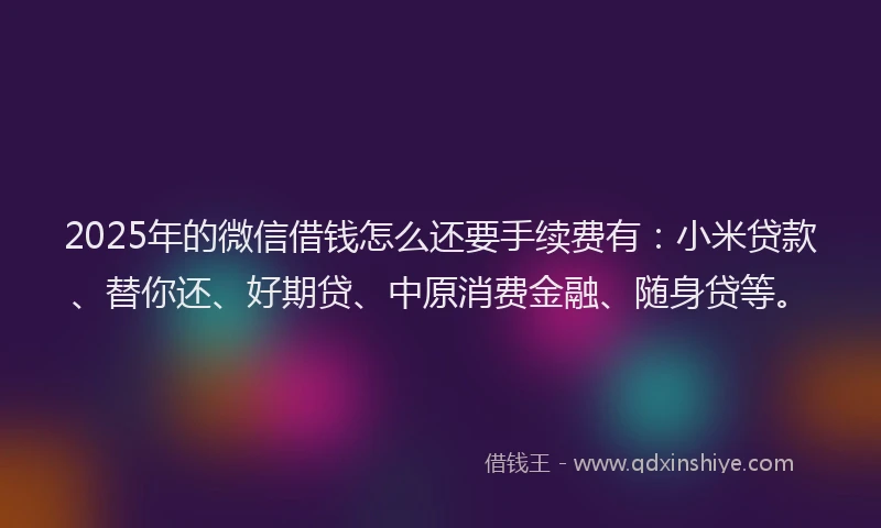 2025年的微信借钱怎么还要手续费有：小米贷款、替你还、好期贷、中原消费金融、随身贷等。