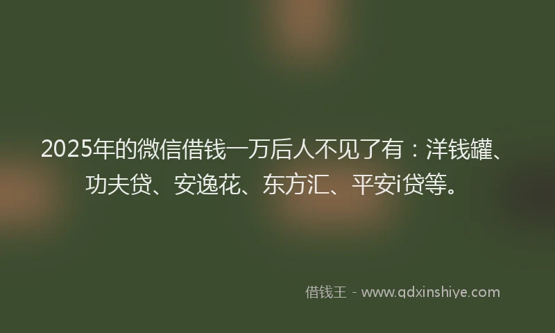 2025年的微信借钱一万后人不见了有：洋钱罐、功夫贷、安逸花、东方汇、平安i贷等。