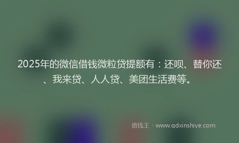 2025年的微信借钱微粒贷提额有：还呗、替你还、我来贷、人人贷、美团生活费等。