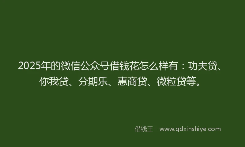 2025年的微信公众号借钱花怎么样有：功夫贷、你我贷、分期乐、惠商贷、微粒贷等。