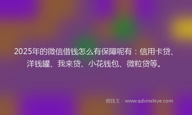 2025年的微信借钱怎么有保障呢有：信用卡贷、洋钱罐、我来贷、小花钱包、微粒贷等。
