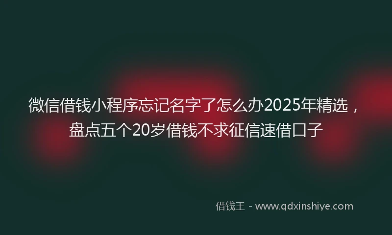 微信借钱小程序忘记名字了怎么办2025年精选，盘点五个20岁借钱不求征信速借口子