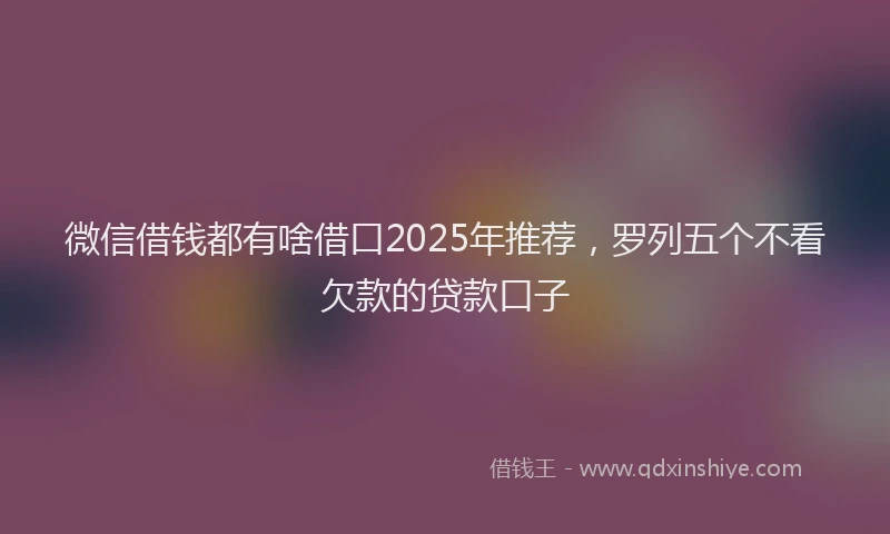 微信借钱都有啥借口2025年推荐，罗列五个不看欠款的贷款口子
