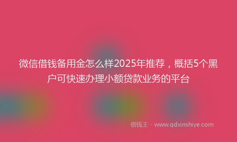微信借钱备用金怎么样2025年推荐，概括5个黑户可快速办理小额贷款业务的平台