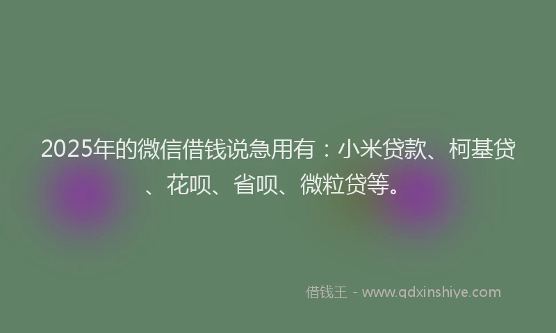 2025年的微信借钱说急用有：小米贷款、柯基贷、花呗、省呗、微粒贷等。