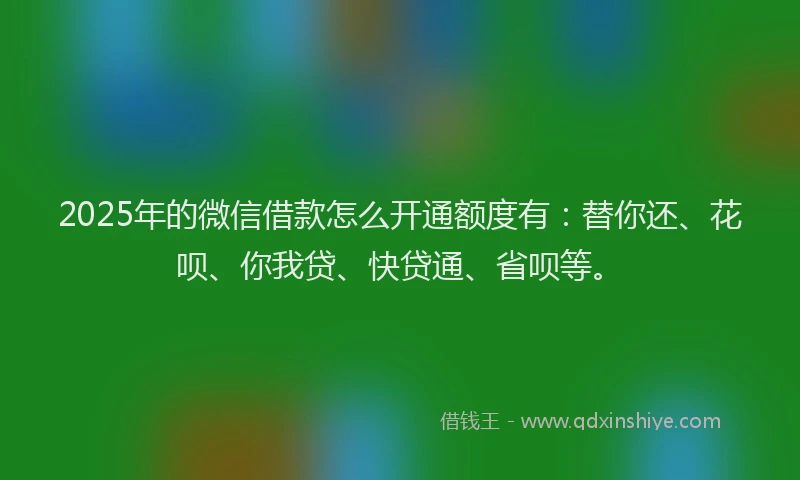 2025年的微信借款怎么开通额度有：替你还、花呗、你我贷、快贷通、省呗等。