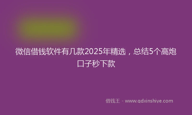 微信借钱软件有几款2025年精选，总结5个高炮口子秒下款