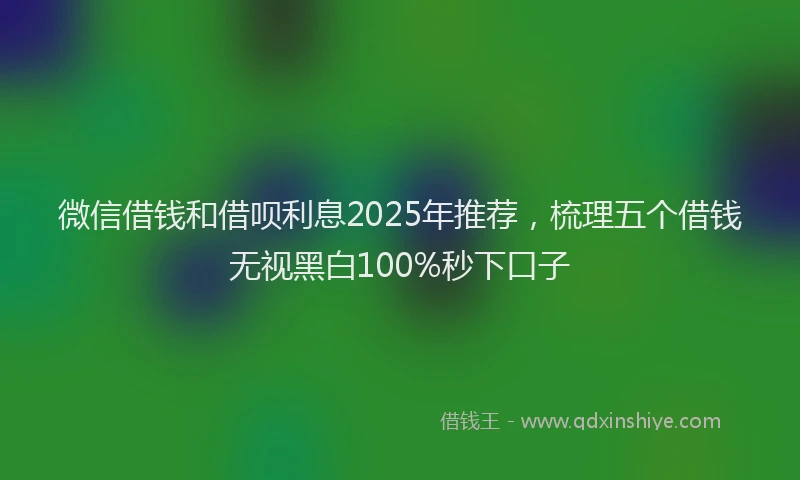 微信借钱和借呗利息2025年推荐，梳理五个借钱无视黑白100%秒下口子