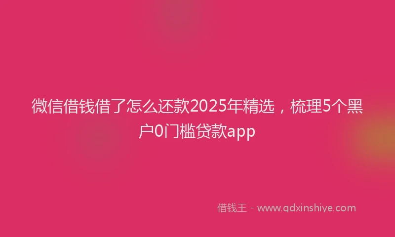 微信借钱借了怎么还款2025年精选，梳理5个黑户0门槛贷款app