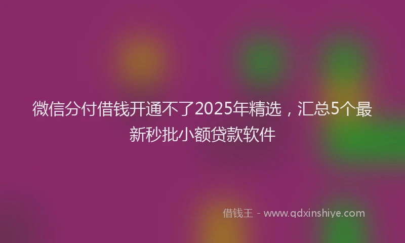 微信分付借钱开通不了2025年精选，汇总5个最新秒批小额贷款软件