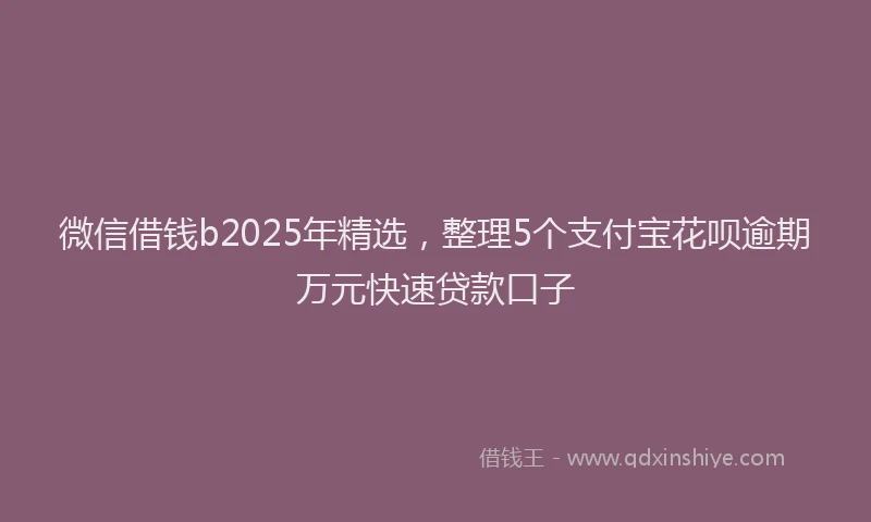 微信借钱b2025年精选，整理5个支付宝花呗逾期万元快速贷款口子