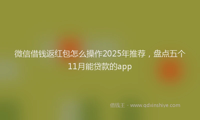微信借钱返红包怎么操作2025年推荐，盘点五个11月能贷款的app