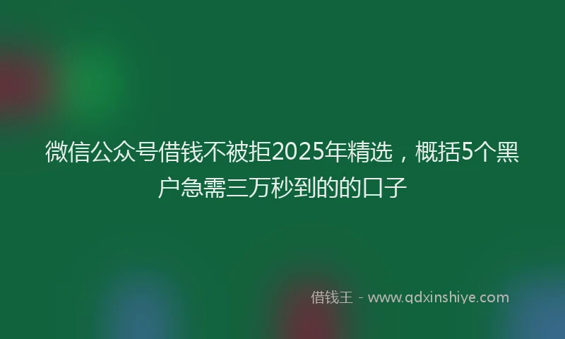 微信公众号借钱不被拒2025年精选，概括5个黑户急需三万秒到的的口子
