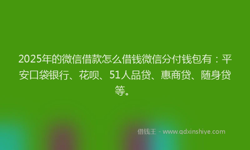 2025年的微信借款怎么借钱微信分付钱包有：平安口袋银行、花呗、51人品贷、惠商贷、随身贷等。